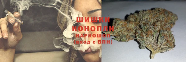 прущие грибы Алексеевка