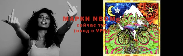 прущие грибы Алексеевка