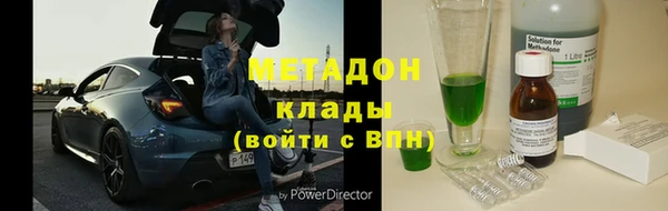 прущие грибы Алексеевка