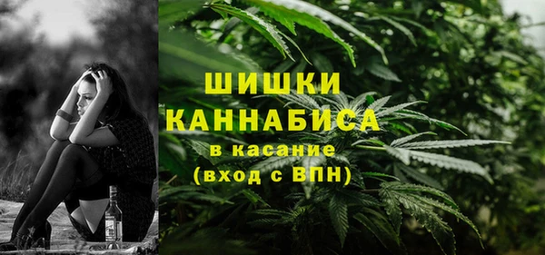 прущие грибы Алексеевка